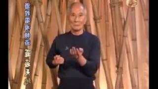 SIU LIM TAO. (FULL BY IP CHUN)