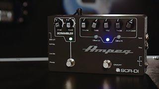 Ampeg SCR-DI Bass DI Preamp with Scrambler Overdrive Pedal Demo