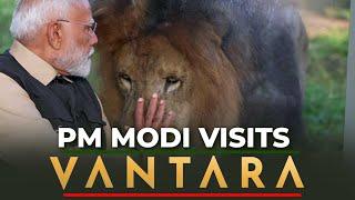 PM Modi inaugurates wildlife rescue, rehabilitation, and conservation centre, Vantara | Ambani