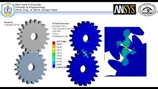 ANSYS Mechanical Tutorial – Spur Gear Analysis