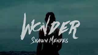 Shawn Mendes - Wonder (Lyrics)