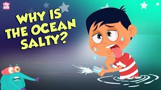 Why Is Ocean Water Salty? | Earth's Ocean | Dr Binocs Show | Peekaboo Kidz