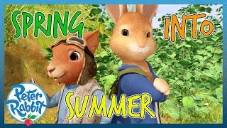 @OfficialPeterRabbit - ️ SPRING into SUMMER! ️ | 1 HOUR | Cartoons for Kids