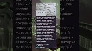 Это вас удивит, очень познавательно #фактыдня #познавательныефакты #будьвкурсе #интереснознать