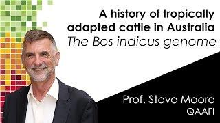 BOS INDICUS GENOME, a history of tropically adapted cattle in Australia