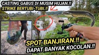 CASTING GABUS STRIKE BERTUBI-TUBI? MANCING IKAN GABUS DI SPOT BANJI DAPAT BANYAK SEKALI KOCOLAN