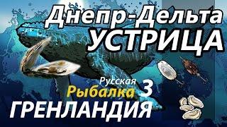 Устрица Днепр Дельта / РР3 [Русская Рыбалка 3 Гренландия]