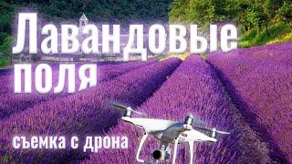 Лавандовые поля Прованса / видео 4K