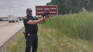 DuPage County K9 recruit begins rigorous training to help save lives