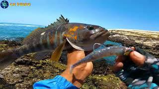 MIREN la Increíble  Pesca de este Pescador!!!...