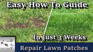 How to repair patches in your lawn. Seed bare spots