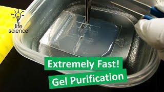 DNA Gel Purification - Freeze & Squeeze Method