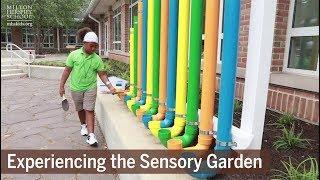 Experiencing The Sensory Garden