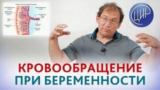 Кровообращение при беременности, плацента человека, гемостаз и правильный подход в акушерстве.