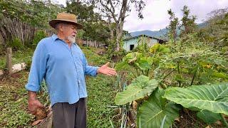 ￼ Ele deixou a cidade grande e veio morar no sítio Cercado de montanhas na serra ￼ da Mantiqueira…