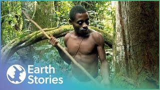 How The World's Most Remote Tribes Hunt | Man Hunt (Compilation) | Earth Stories