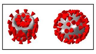 Ultrasound has potential to damage coronaviruses