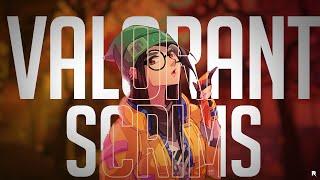 Valorant Scrims Live | Rogue Scrims| Low Rank Scrims|!join