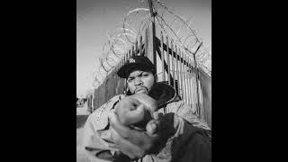 [FREE] Ice Cube type beat - "Hello"