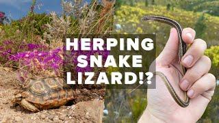 SNAKE LIZARD! FLIPPING FOR SNAKES IN THE MOUNTAINS!