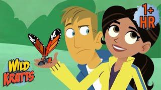 Voyage of the Butterflier | Full Episodes | Wild Kratts | 9 Story Kids