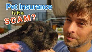 Nationwide Pet Health Insurance - How To File A Claim