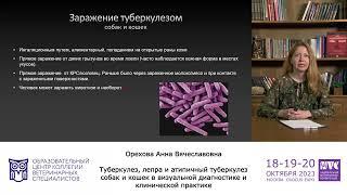 Туберкулез, лепра и атипичный туберкулез собак и кошек —Орехова Анна.