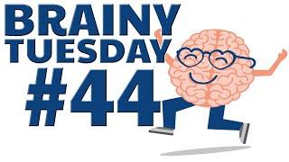 BRAINY TUESDAY #44 - 21 Question DIFFICULT Trivia  / Random Categories ( ROAD TRIpVIA Episode 805 )