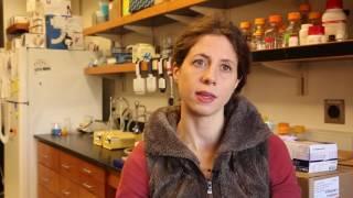 UW spin-out seeks to develop celiac disease therapy