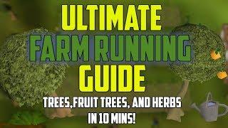 OSRS - Ultimate Farm Running Guide! (Trees/Fruit Trees/Herbs) IN 10 MINS!