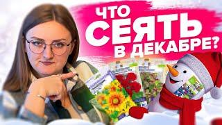 УСПЕЙТЕ ПОСЕЯТЬ В ДЕКАБРЕ! Что посеять в декабре?