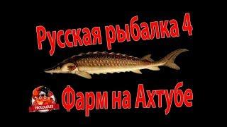Русская рыбалка 4 Фарм на Ахтубе  Осётр Русский  Кутум