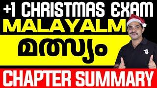 Plus One Malayalam Christmas Exam | Malsyam | Chapter Summary | Eduport Plus One