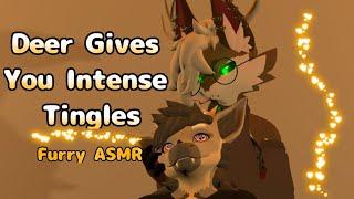 [Furry ASMR] A Deer Gives You INTENSE Tingles (Ear Licking, Kissing, Good Boy, Brushing)