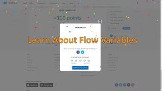 Learn About Flow Variables