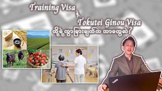 Training Visa နဲ့ Tokutei Ginou Visa ရဲ့ခြားနားချက်
