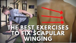 Effective Exercises To Fix Scapular Winging - Targeting The Weak Muscles