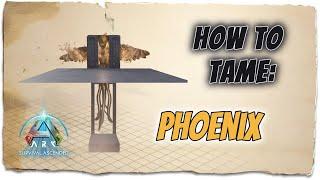 How to Tame the Phoenix | Easiest method | ARK Ascended Scorched Earth