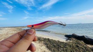 TIPS Mancing Cumi Pinggiran Saat Air Laut Sedang Keruh!!