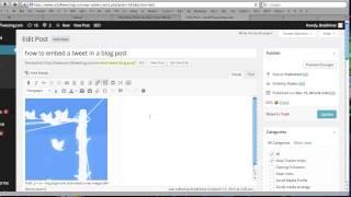 How to embed a tweet into a blog post