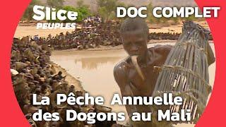 La Pêche au Silure dans l'Aridité du Pays Dogon, Mali | SLICE PEUPLES | DOC COMPLET