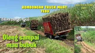 Rombongan truck muat tebu di jalur exstrim driver punya skil-dampit