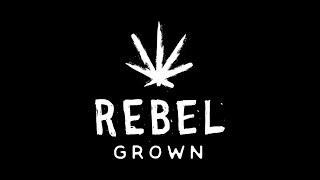 Breeder Double Feature: Rebel Grown