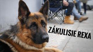 Vlog | Zákulisie | Rex