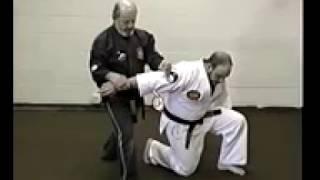 Nick Cerio's Kenpo   Volume 3   Advanced Self Defense