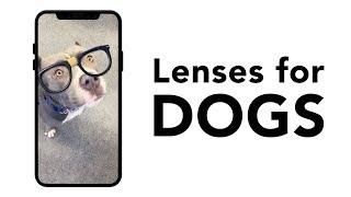 Dog Lenses | Now on Snapchat