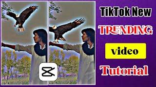 TikTok New Trend Eagle video tutorial | Eagle video editing on capcut