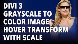 Divi 3 Grayscale To Color Image Hover Transform With Scale