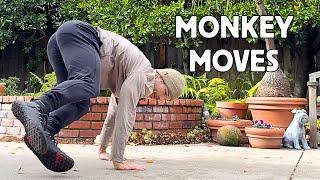 MASTER the Lateral Monkey Crawl - Beginner Friendly Primal Movement