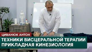 Техники висцеральной терапии. Прикладная кинезиология. Циванюк Антон